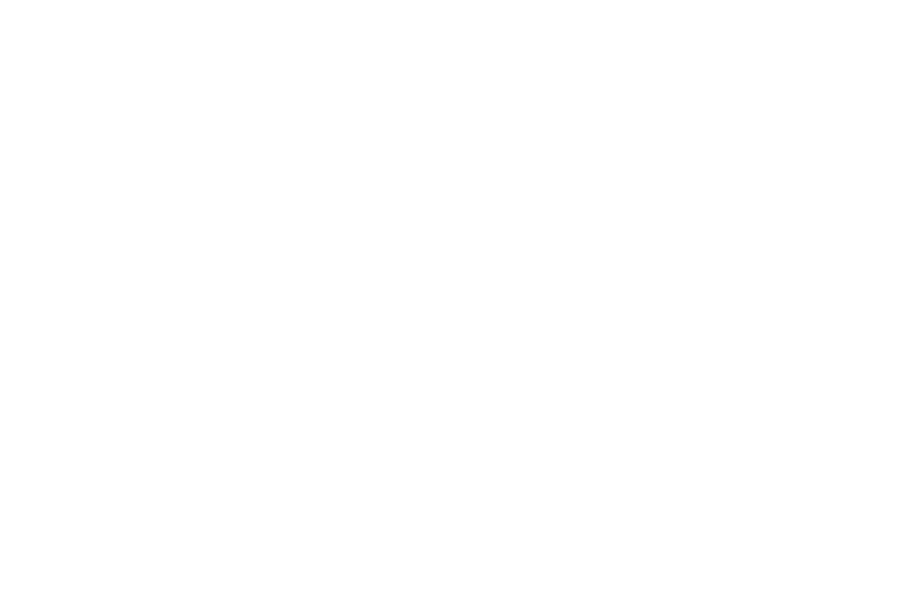 Legacy_Ball_Logo_white