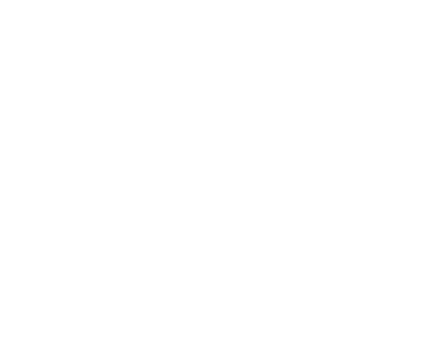 commemorative program book ads